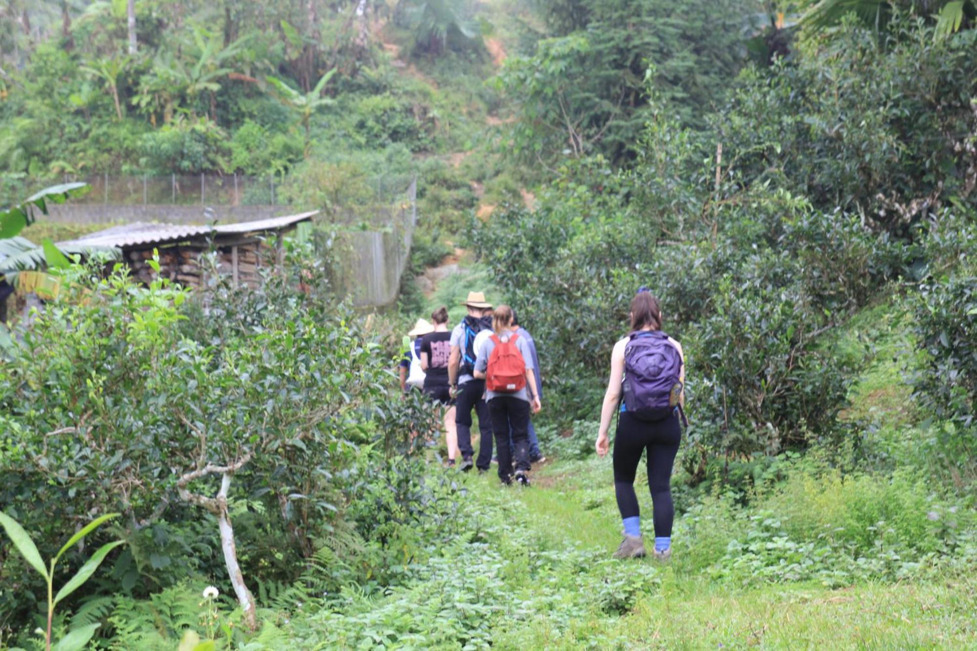 Thavill Retreat Hagiang Apartman Ha Giang Kültér fotó