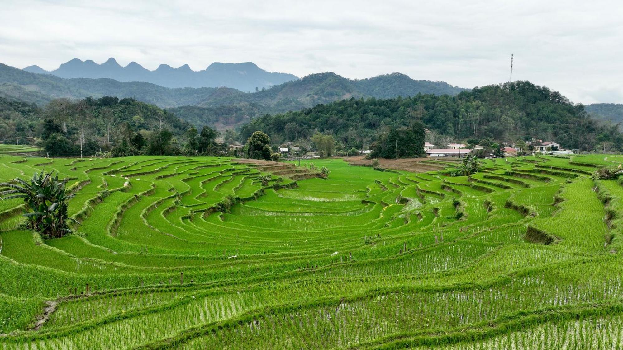 Thavill Retreat Hagiang Apartman Ha Giang Kültér fotó